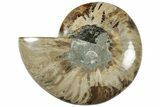 Cut & Polished Ammonite Fossil (Half) - Madagascar #310736-1